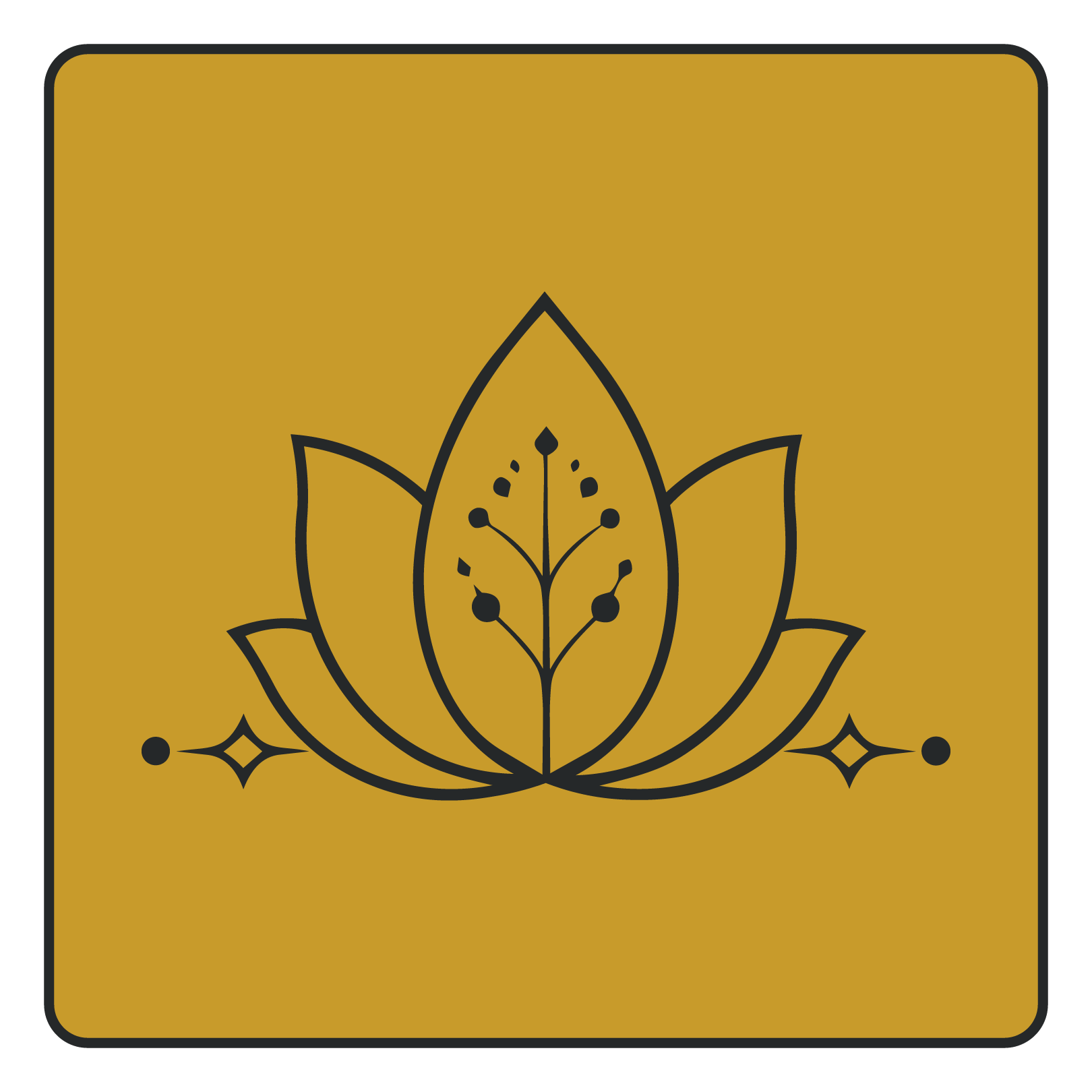 Yothai Membership Lotus - Muay Thai, Thai Kickboxing and Yoga